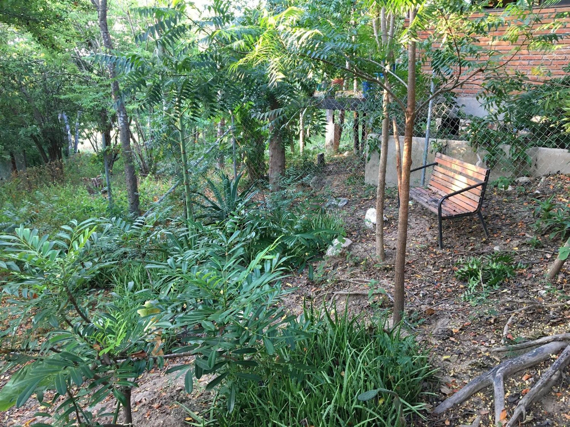 Centro Sati Bungalow เคาทูนาลโก ภายนอก รูปภาพ